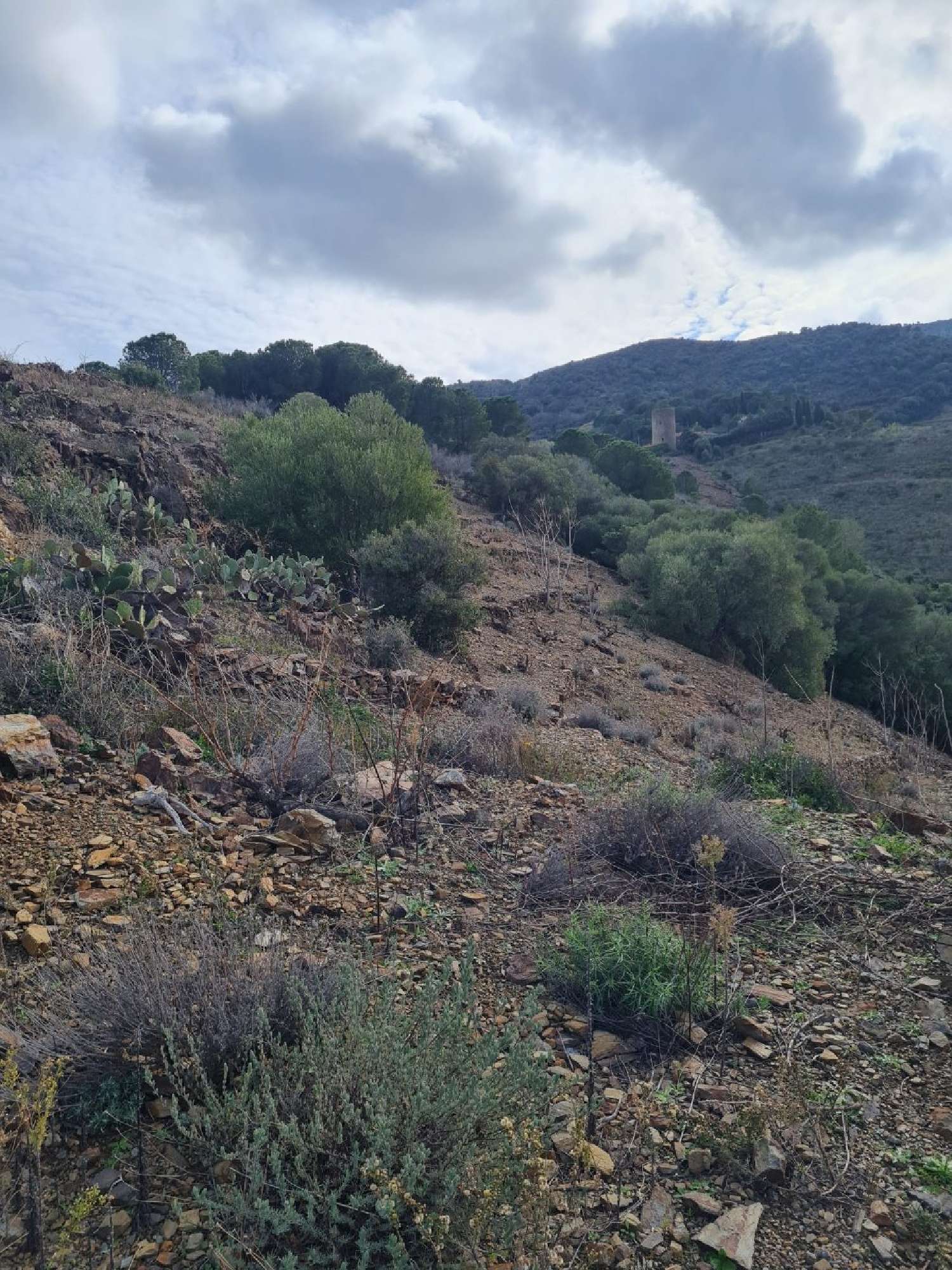  te koop terrein Banyuls-sur-Mer Pyrénées-Orientales 3