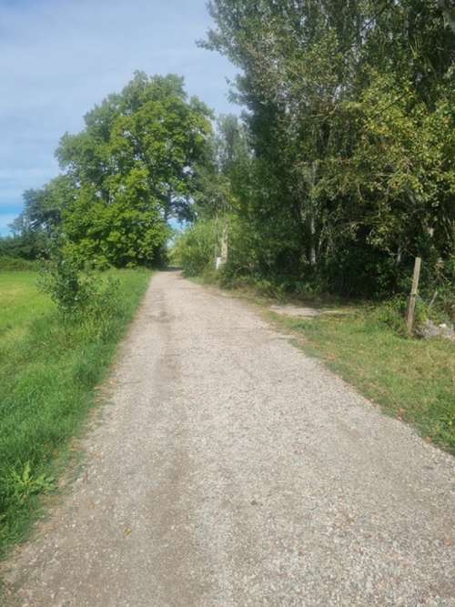 Barbentane Bouches-du-Rhône Grundstück Bild 7158263