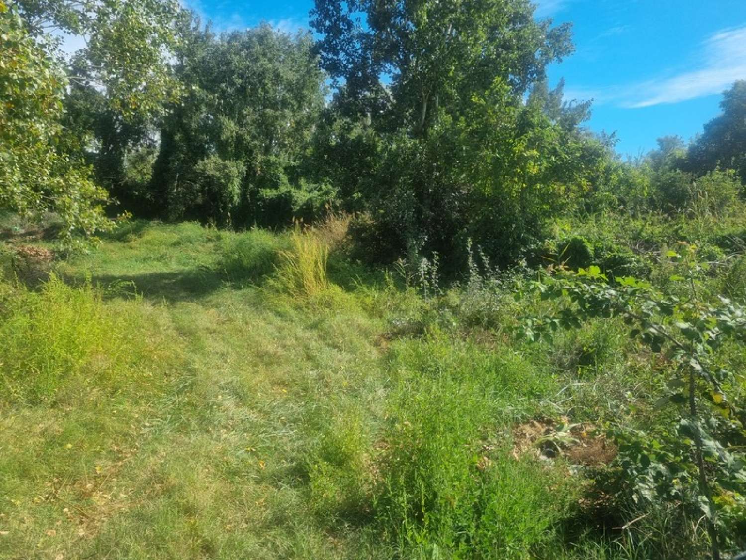  en venta terreno Barbentane Bocas del Ródano 2