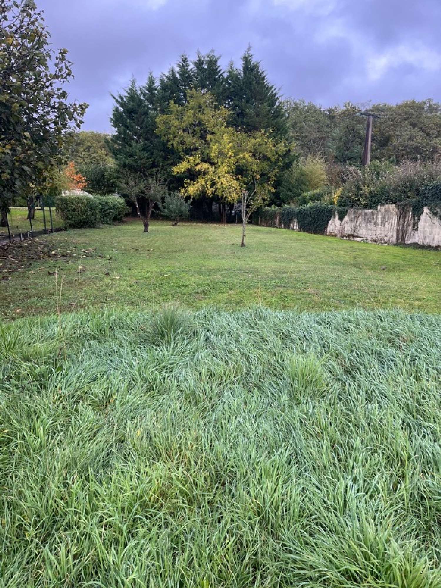 for sale terrain Beychac-et-Caillau Gironde 3