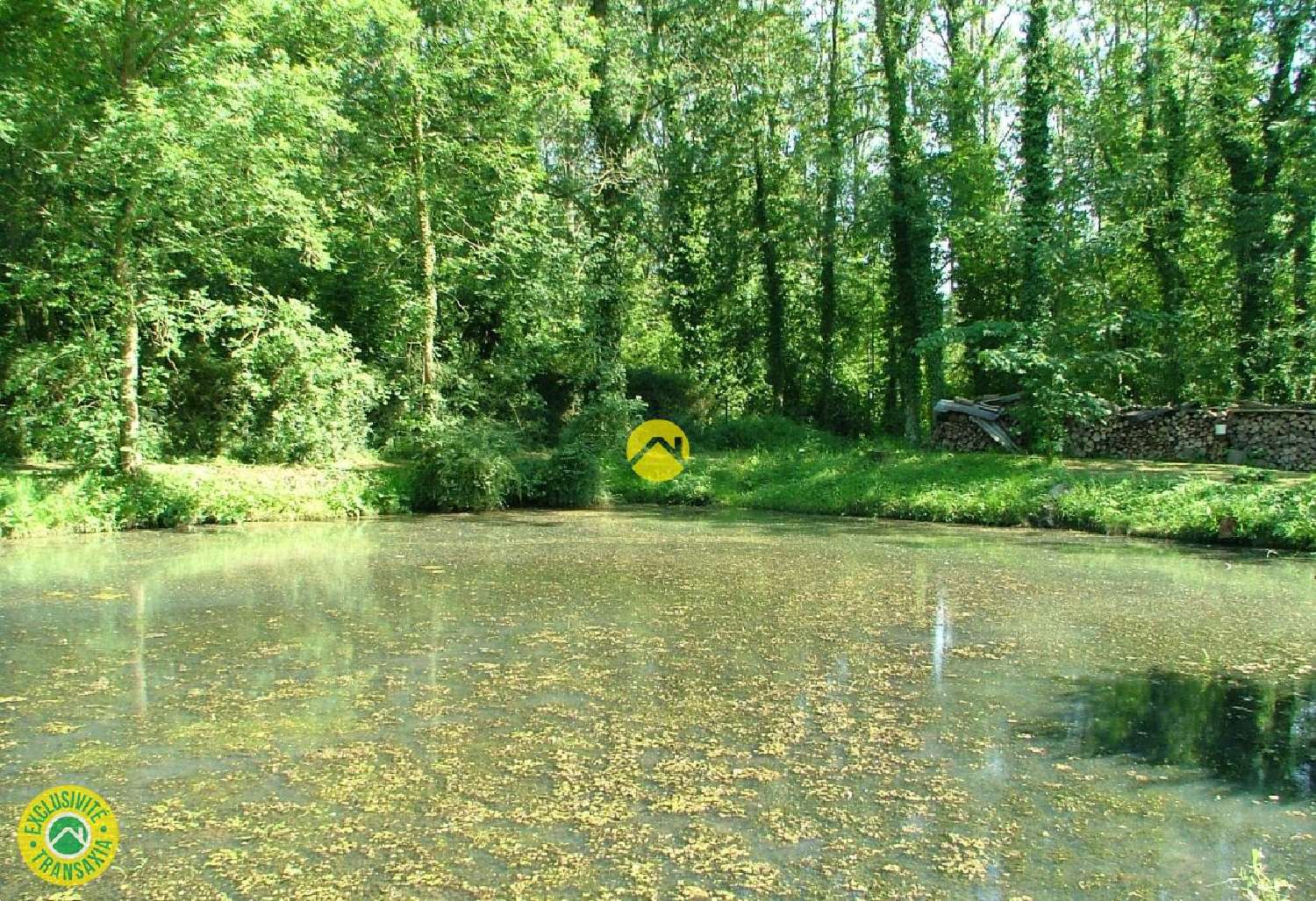  à vendre terrain Brimeux Pas-de-Calais 3