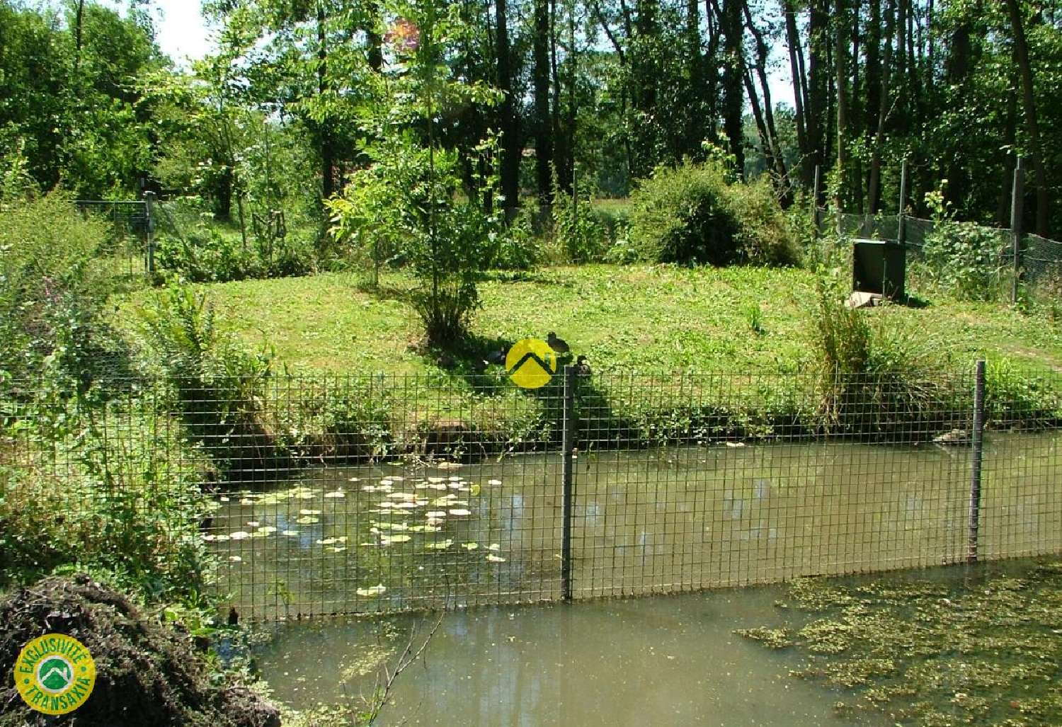  à vendre terrain Brimeux Pas-de-Calais 5