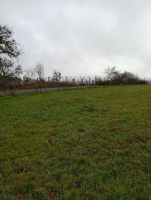 Busset Allier terreno foto 7153814
