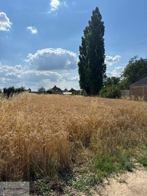 Cambrai Nord Grundstück Bild 7162308