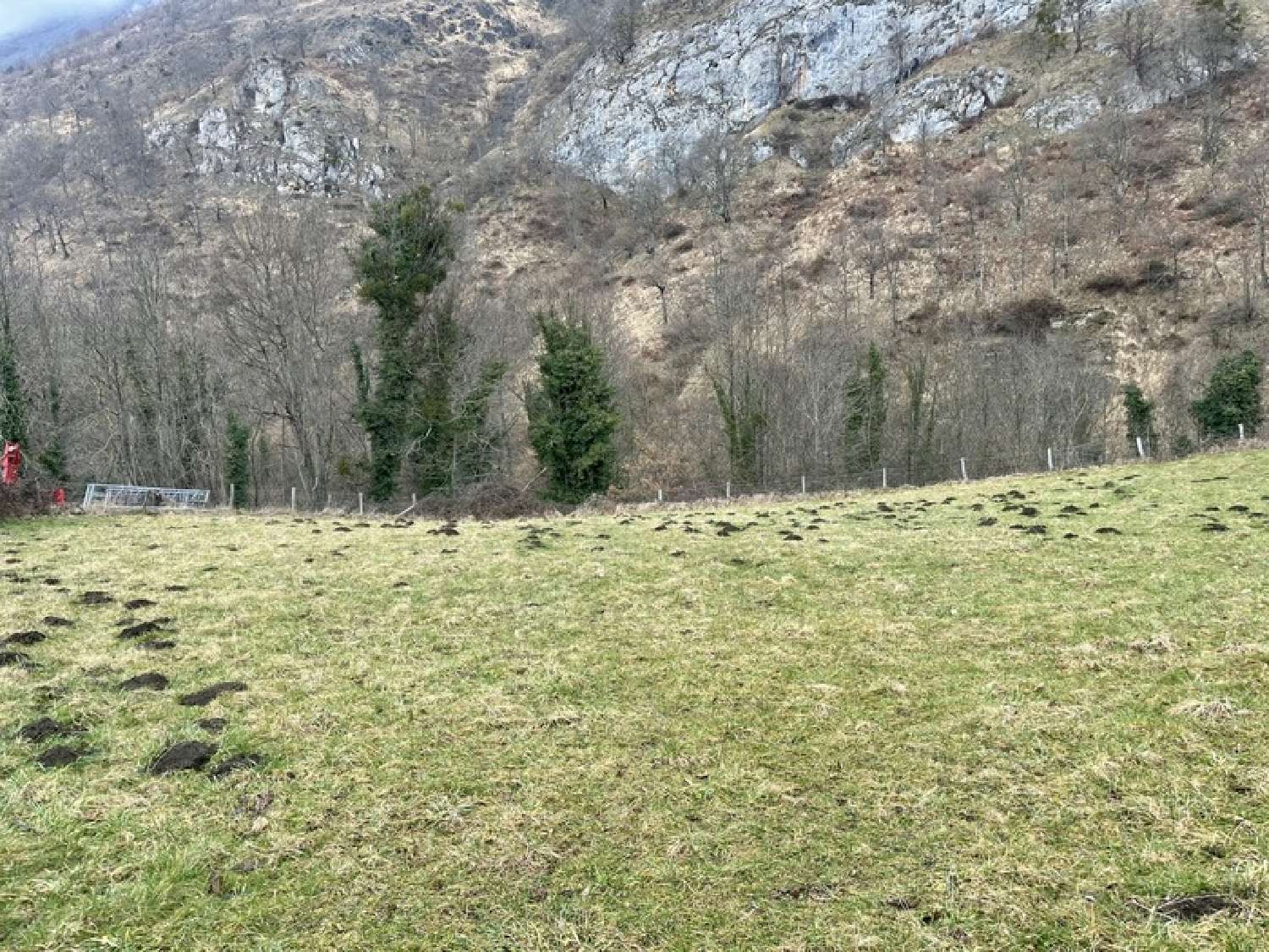  à vendre terrain Campan Hautes-Pyrénées 3