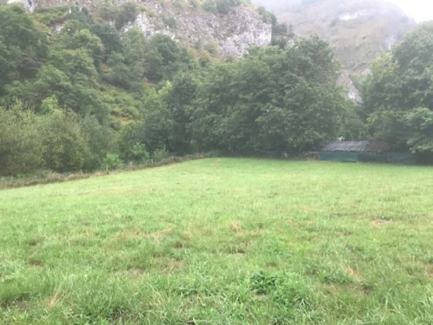  à vendre terrain Campan Hautes-Pyrénées 5