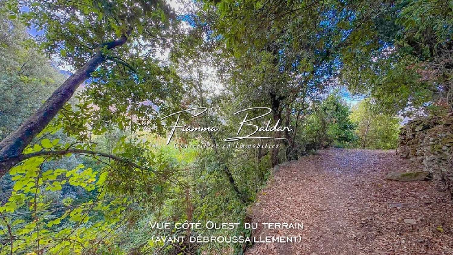  te koop terrein Campile Haute-Corse 2