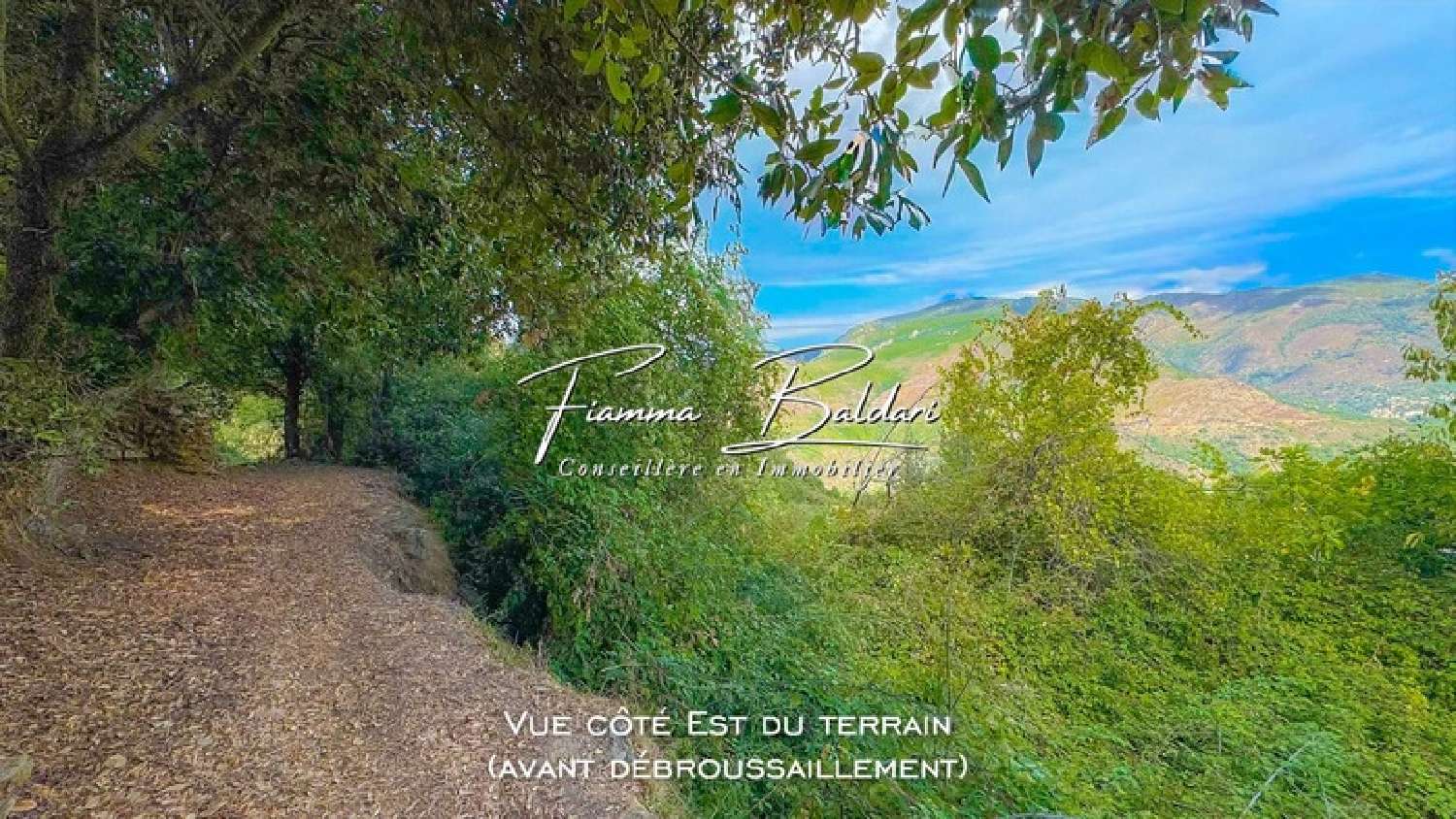 te koop terrein Campile Haute-Corse 3