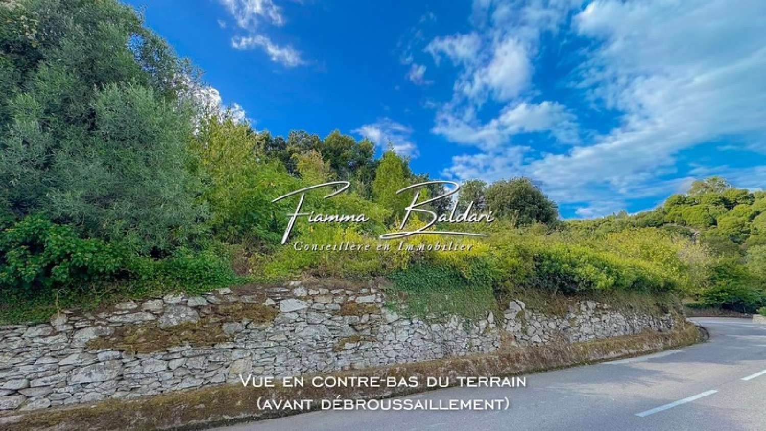 te koop terrein Campile Haute-Corse 5