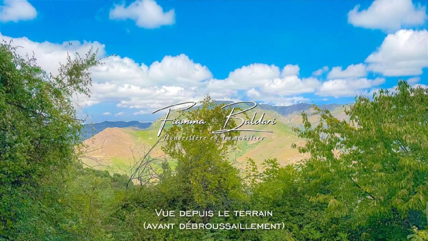  te koop terrein Campile Haute-Corse 6