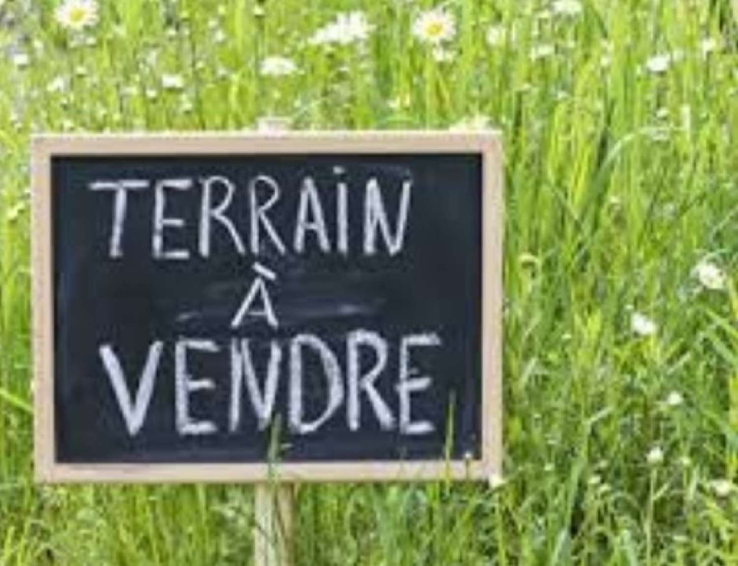  te koop terrein Castelnau-de-Médoc Gironde 1
