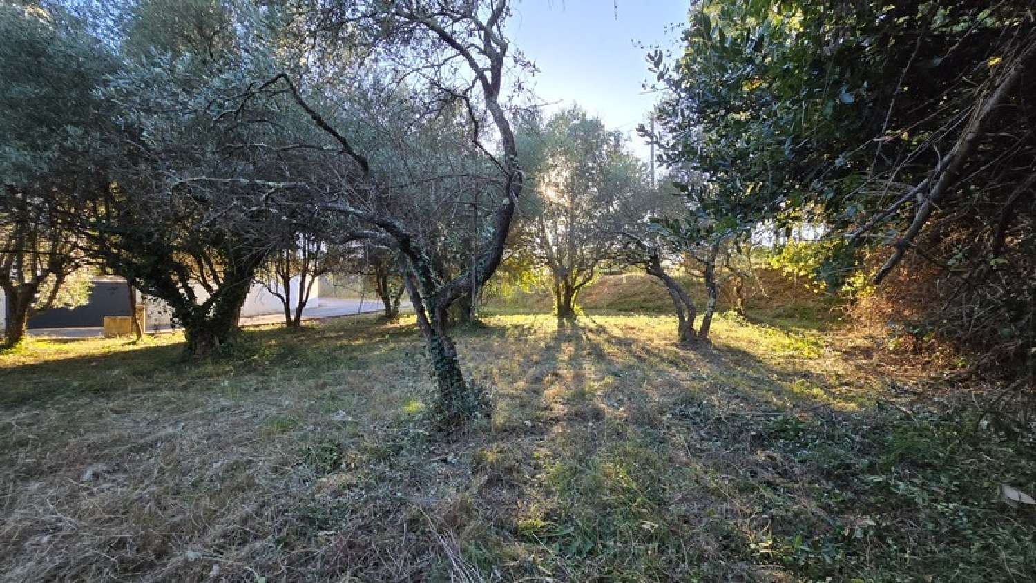 kaufen Grundstück Castries Hérault 3