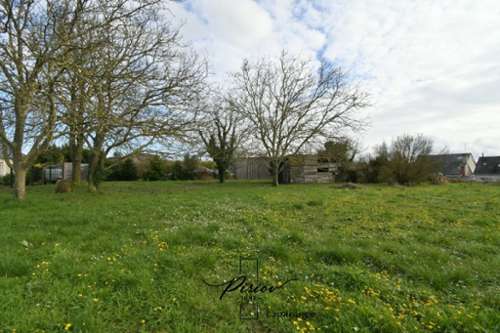 Chemellier Maine-et-Loire terrein foto 7162735