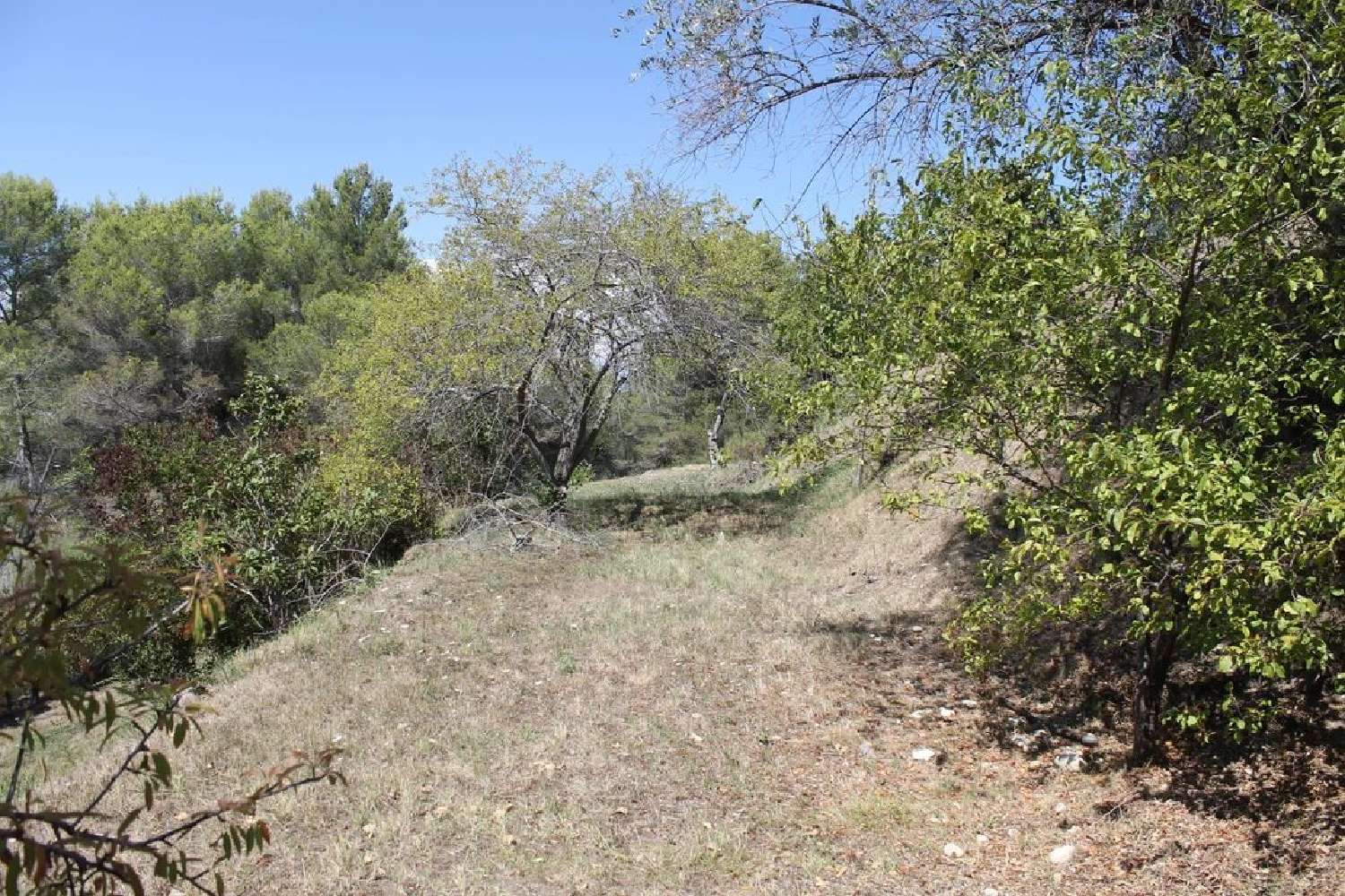  kaufen Grundstück Colomars Alpes-Maritimes 1