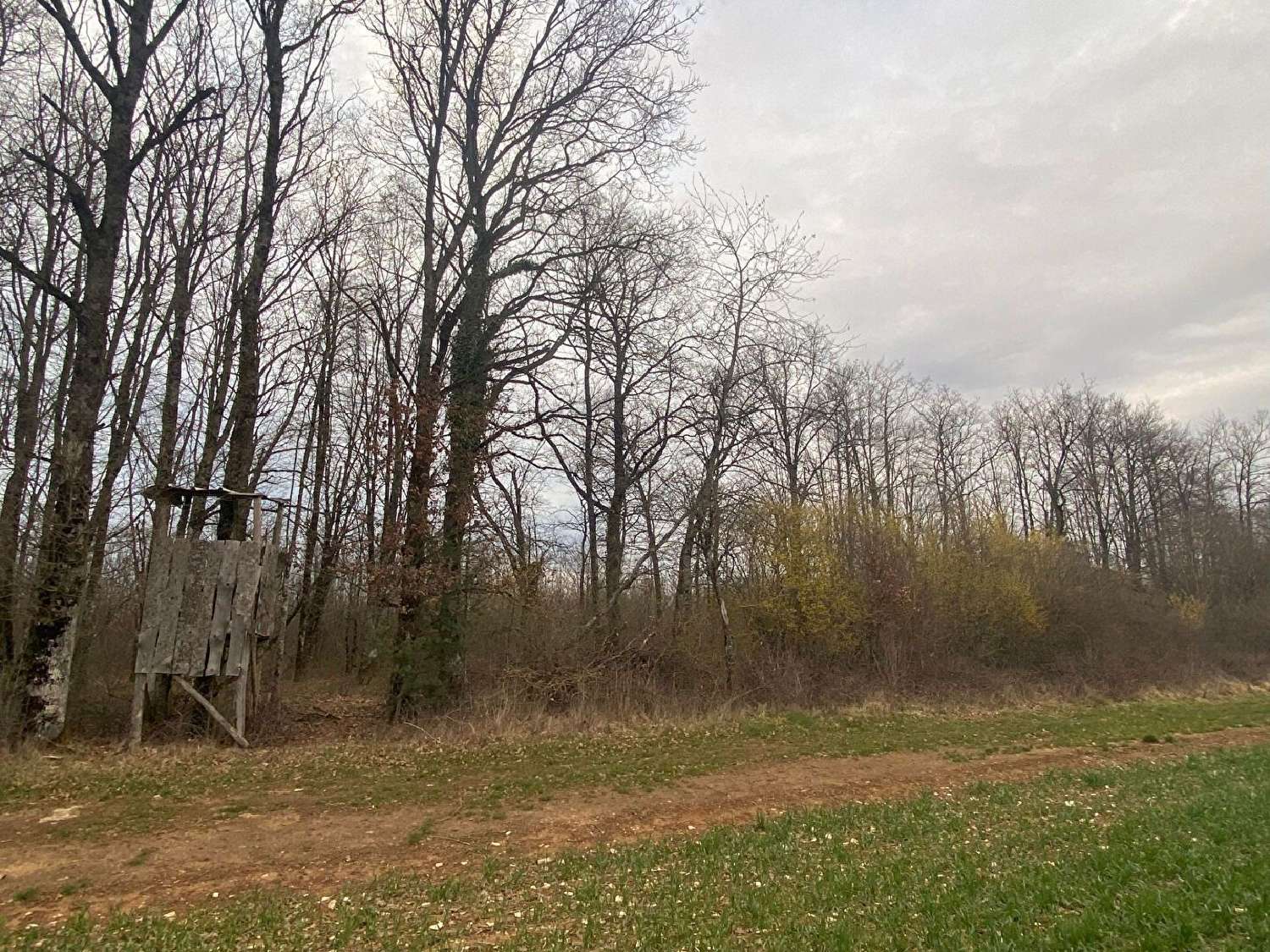 kaufen Grundstück Colombey-les-deux-Églises Haute-Marne 1