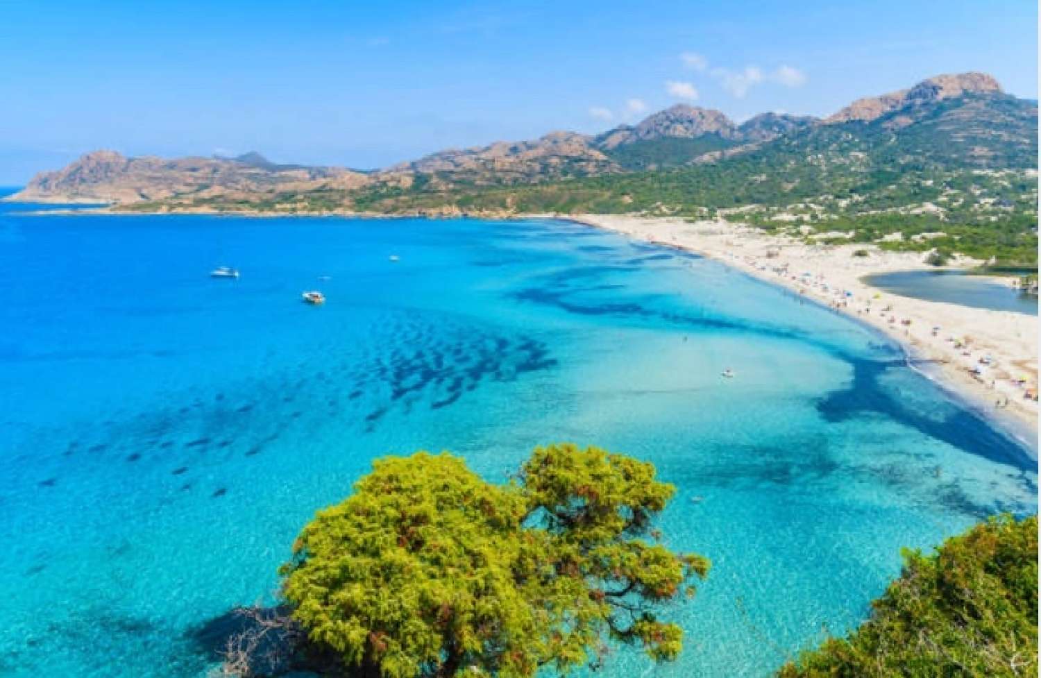  te koop terrein Corbara Haute-Corse 2
