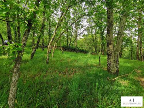 Coux Ardeche terreno foto 7167007