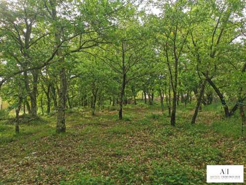 Coux Ardeche terreno foto 7167008