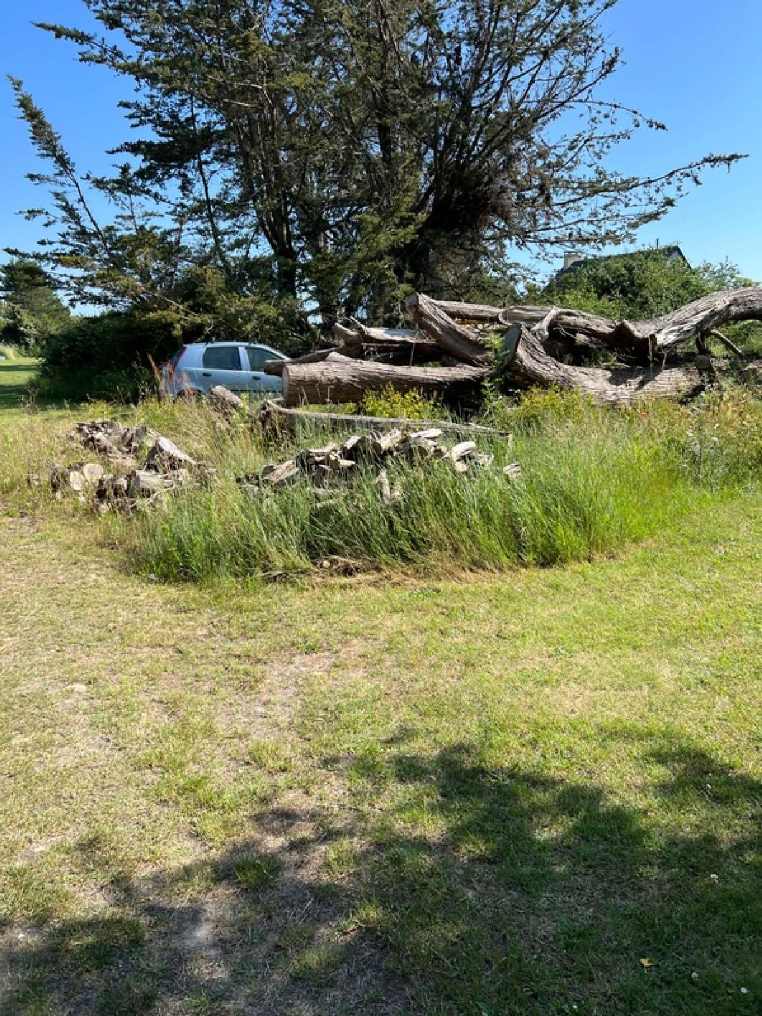  à vendre terrain Denneville Manche 3