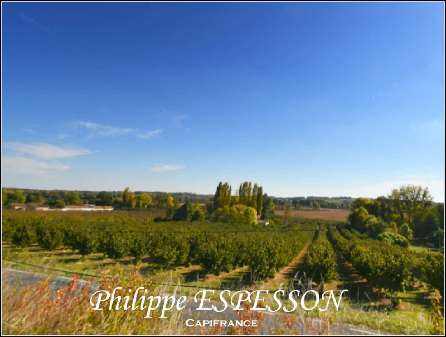 te koop terrein Dieulivol Gironde 5