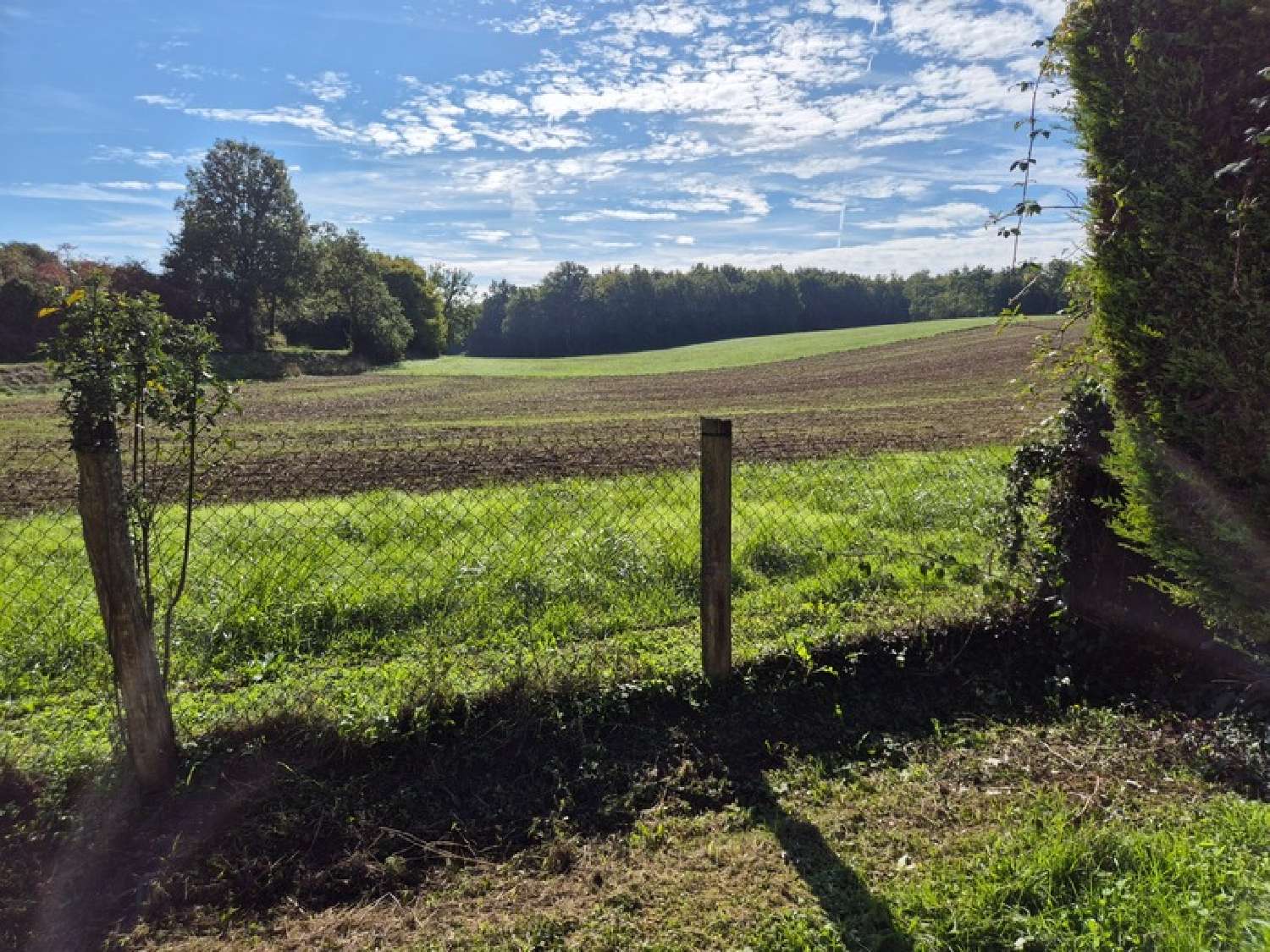  kaufen Grundstück Dirac Charente 2