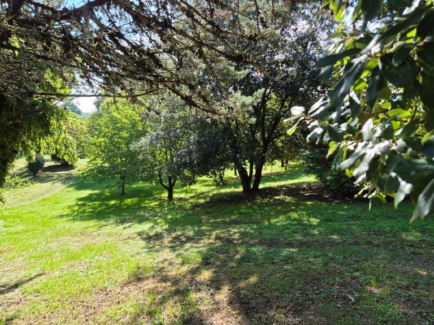  kaufen Grundstück Dirac Charente 3
