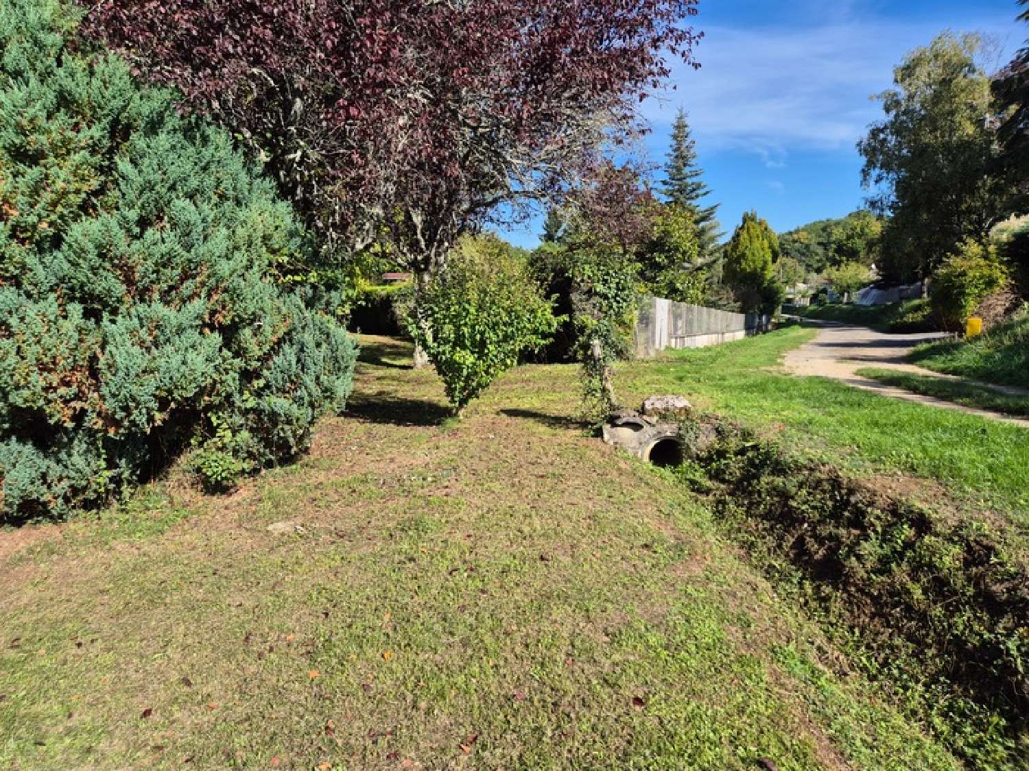  kaufen Grundstück Dirac Charente 8
