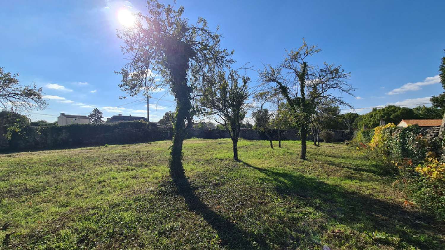  à vendre terrain Échiré Deux-Sèvres 3