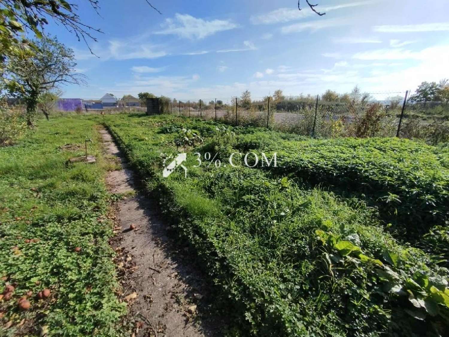  for sale terrain Einville-au-Jard Meurthe-et-Moselle 2