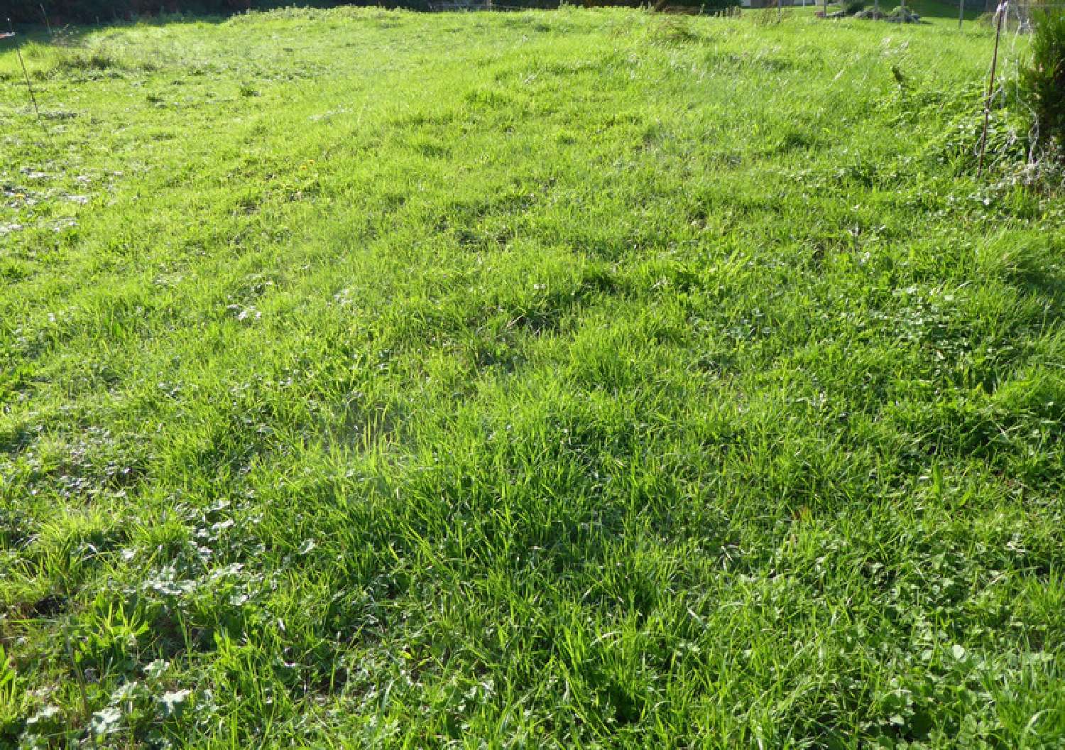  te koop terrein Évian-les-Bains Haute-Savoie 2