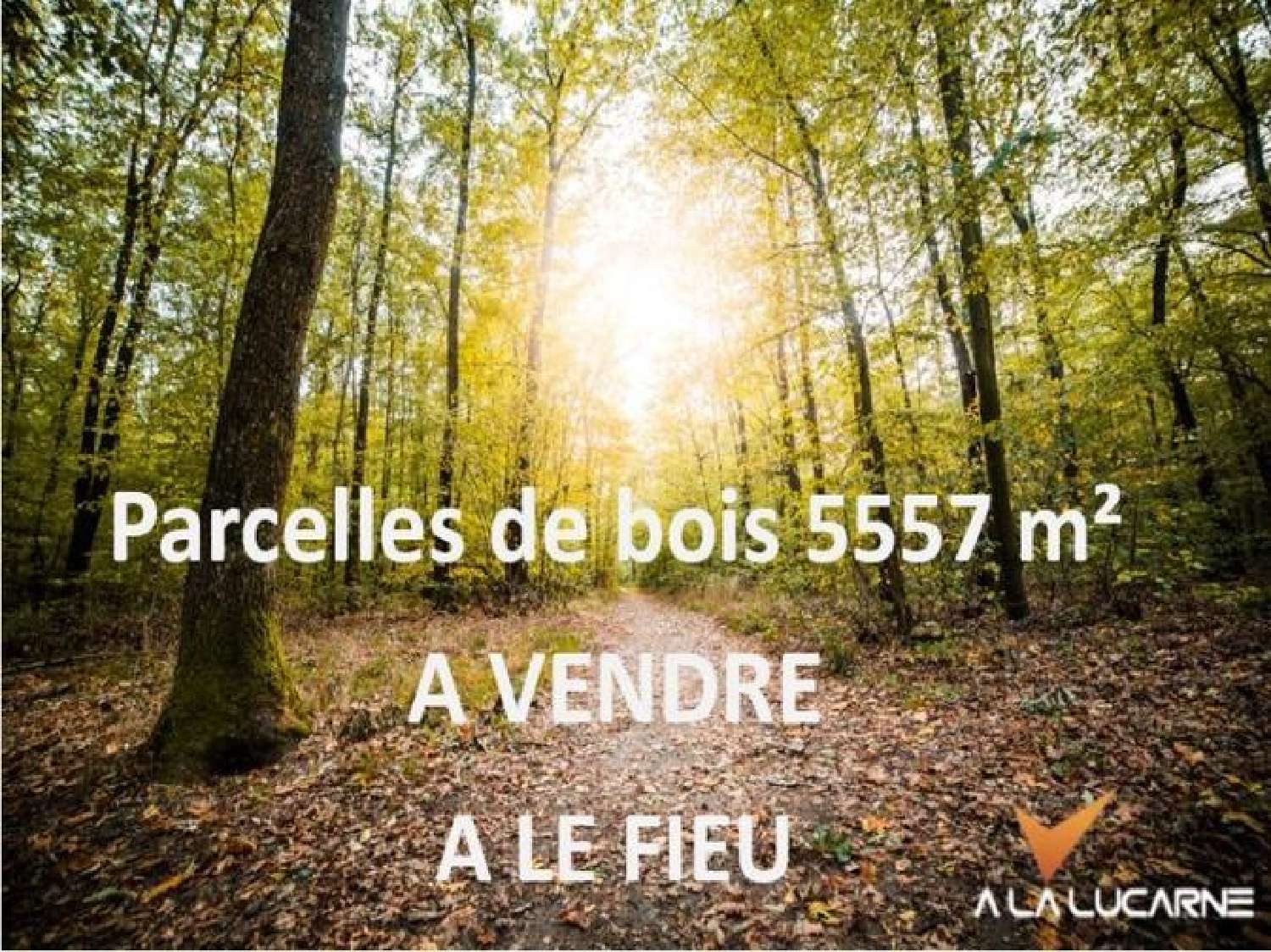  for sale terrain Ladaux Gironde 1