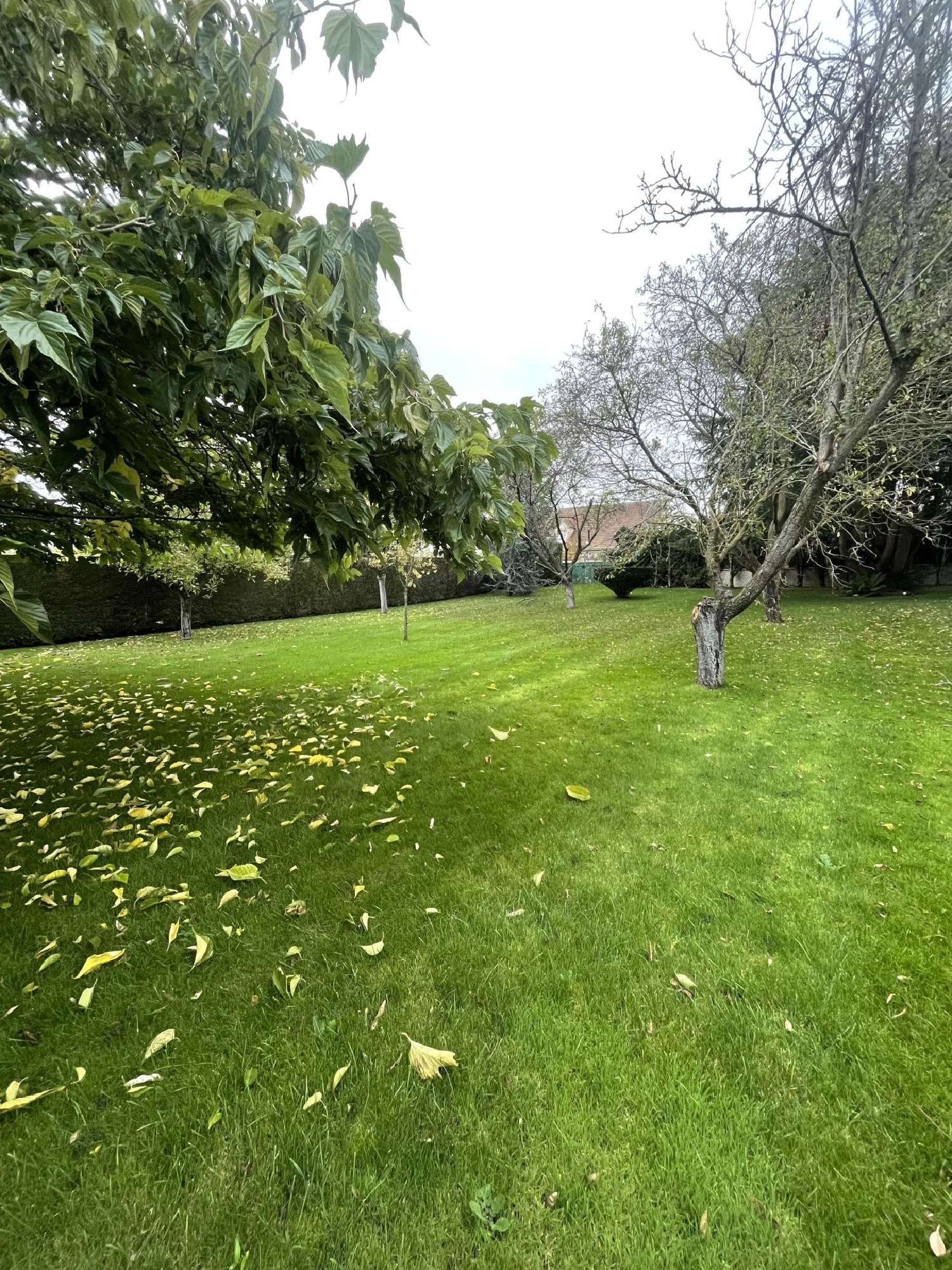 te koop terrein Freneuse Yvelines 1