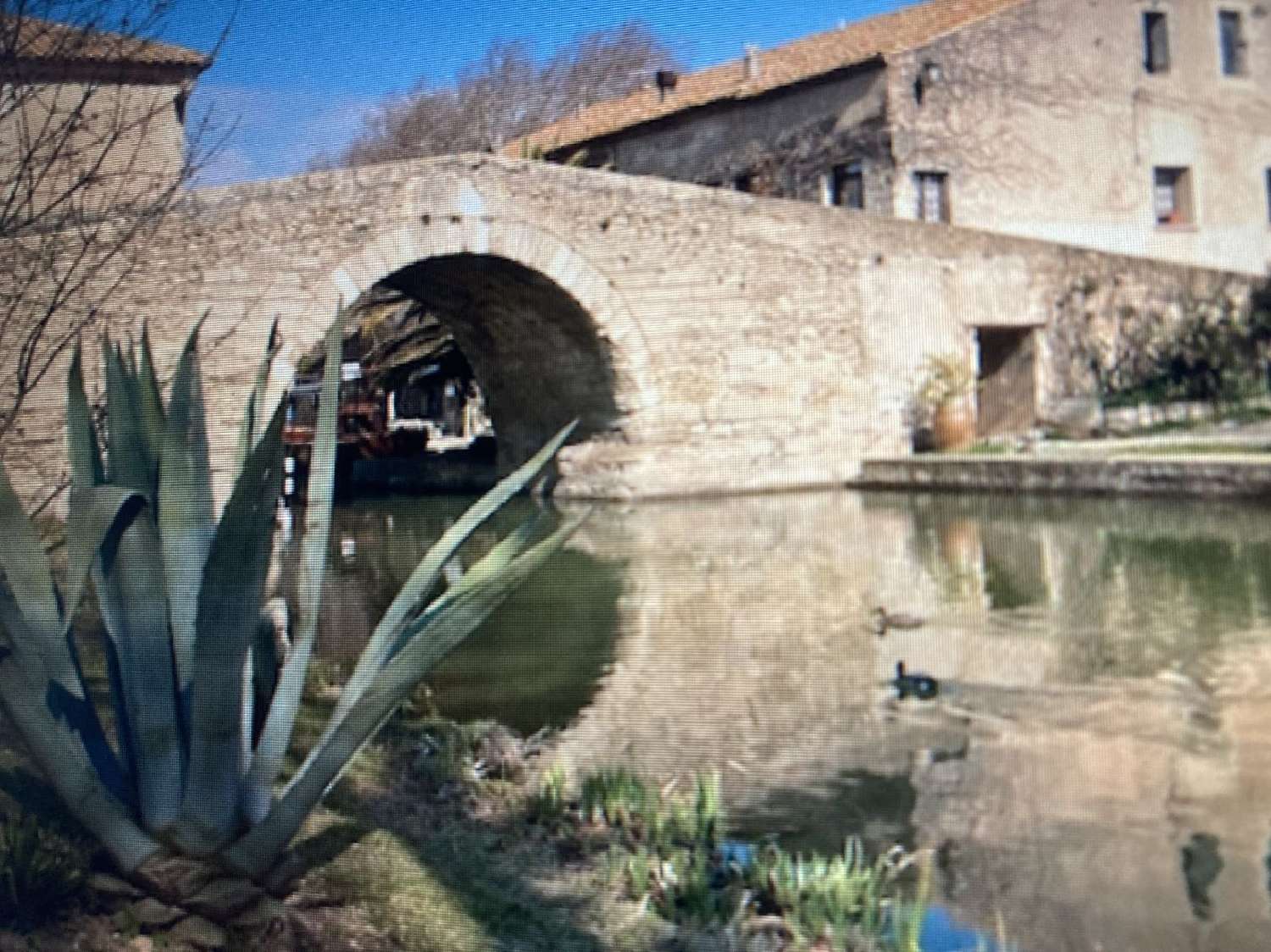  for sale terrain Ginestas Aude 4