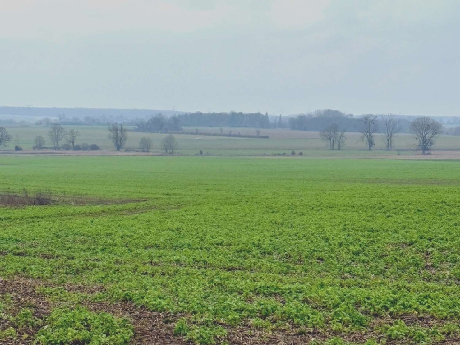  en venta terreno Grisy-les-Plâtres Val-d'Oise 1