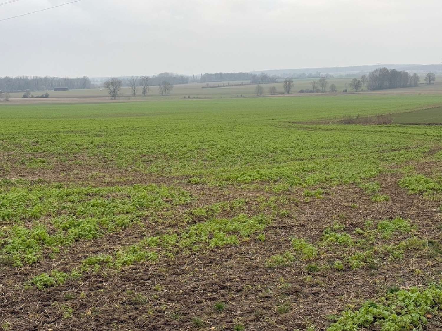  en venta terreno Grisy-les-Plâtres Val-d'Oise 2