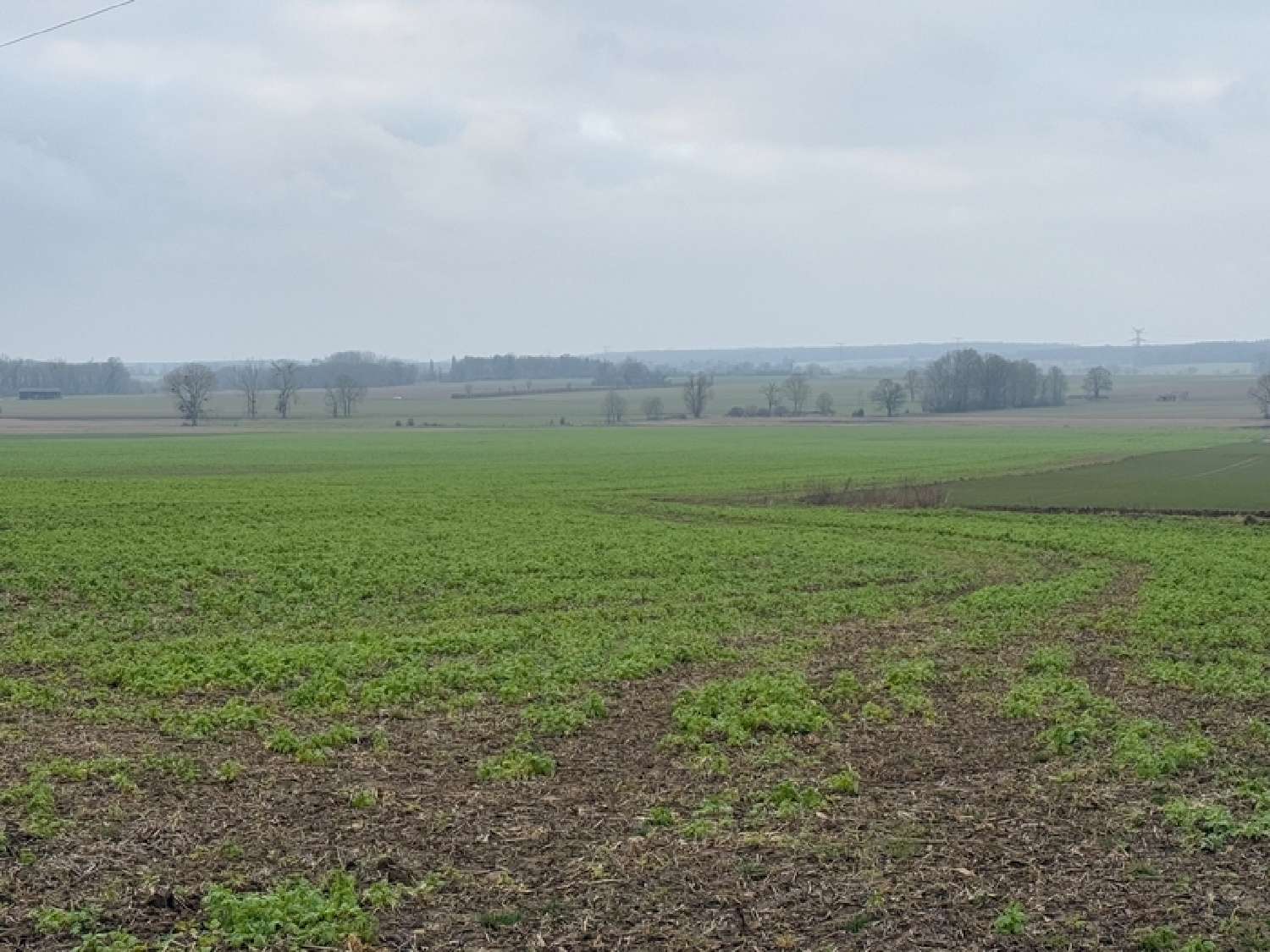  en venta terreno Grisy-les-Plâtres Val-d'Oise 3