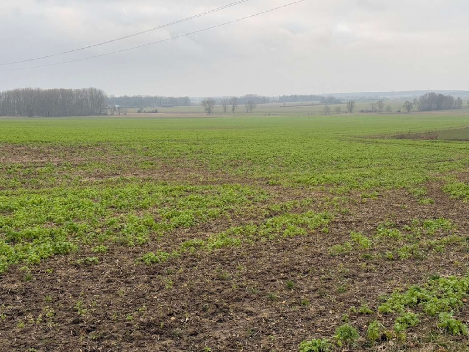  en venta terreno Grisy-les-Plâtres Val-d'Oise 4