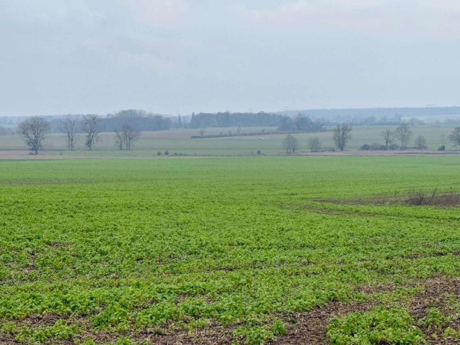  en venta terreno Grisy-les-Plâtres Val-d'Oise 1