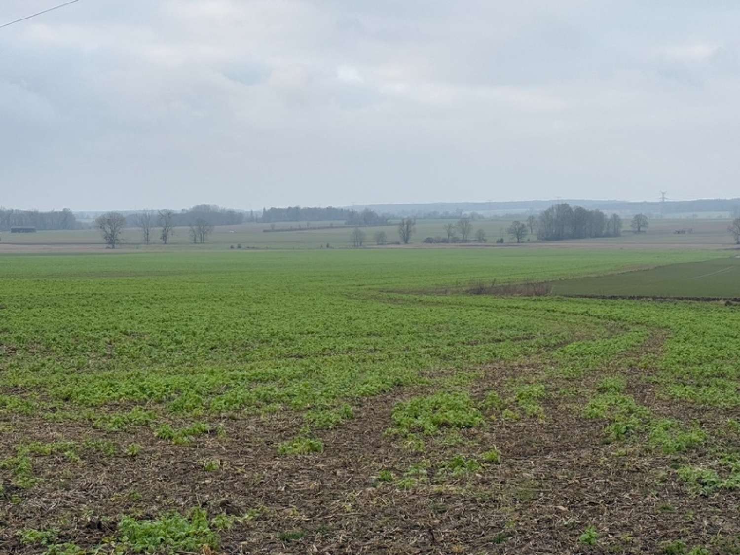  en venta terreno Grisy-les-Plâtres Val-d'Oise 3