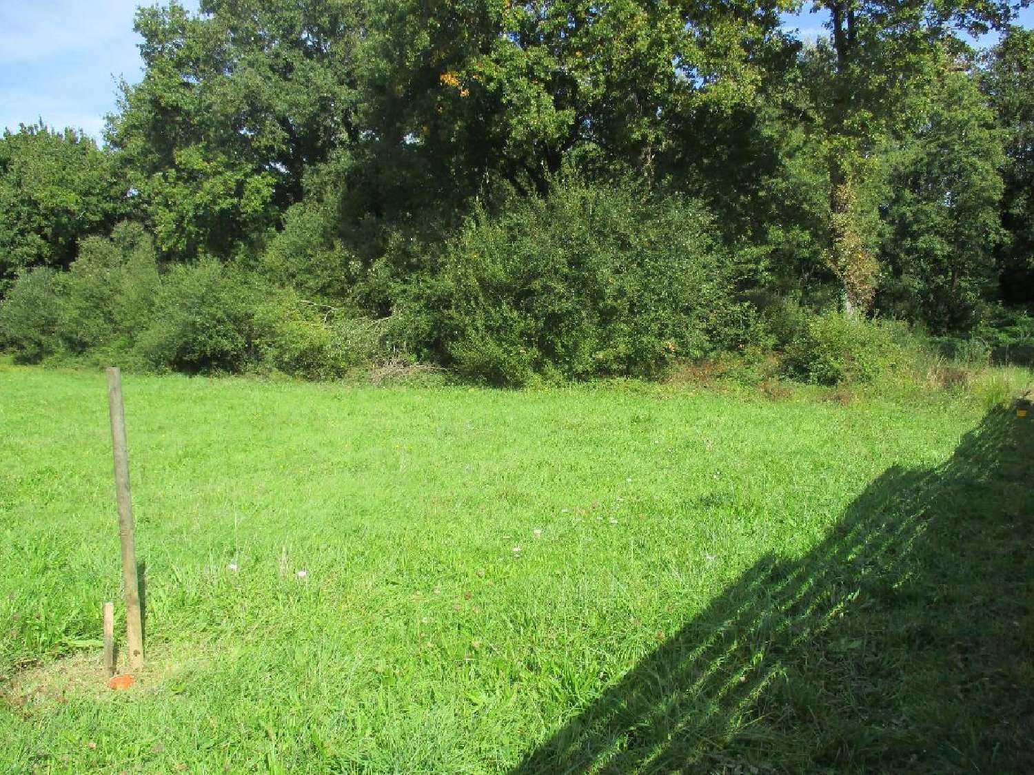  kaufen Grundstück Grosbreuil Vendée 2