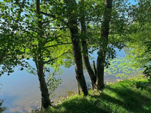 Guillon Yonne terrain foto 7160278