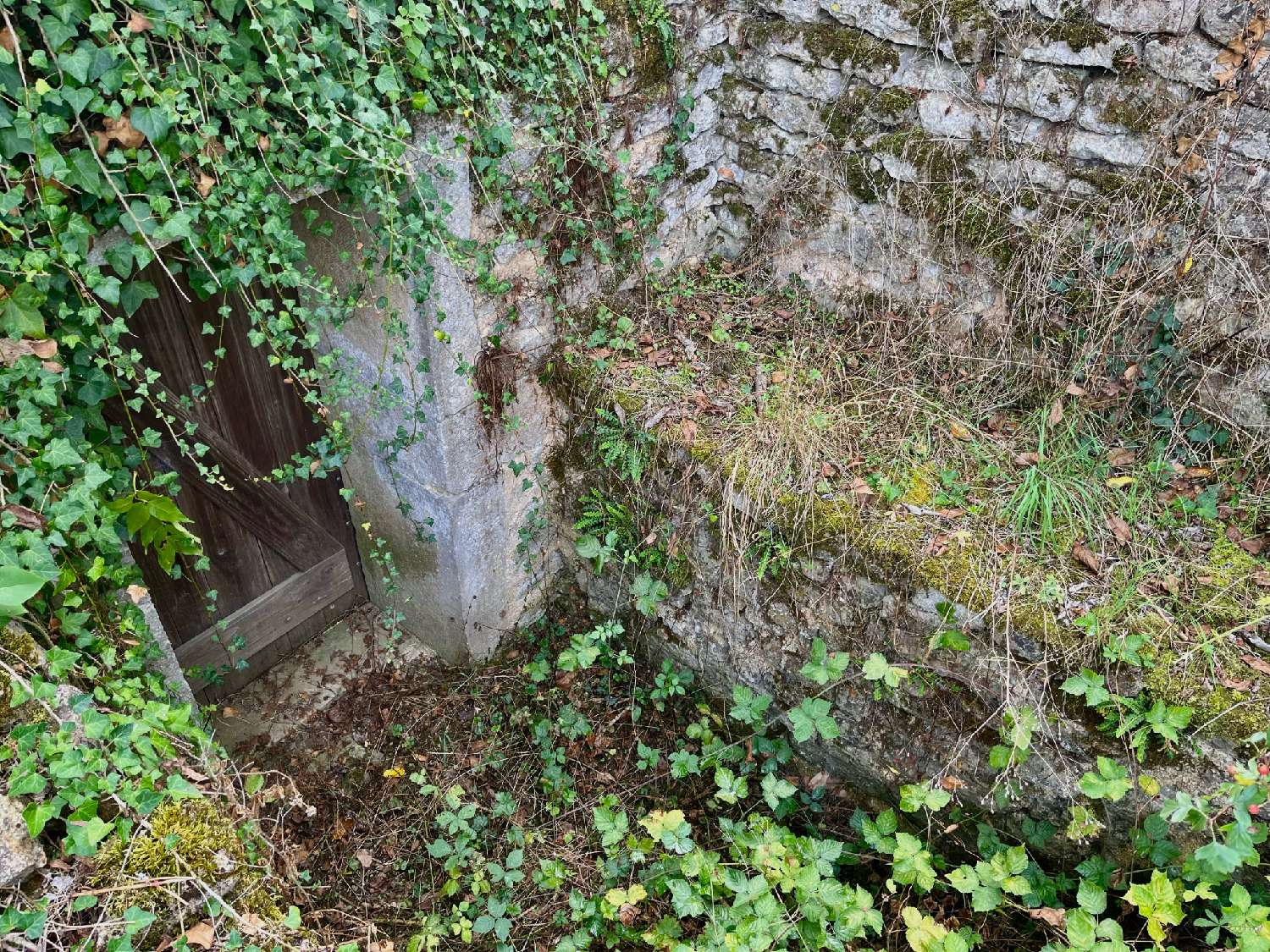 te koop terrein Guillon Yonne 5