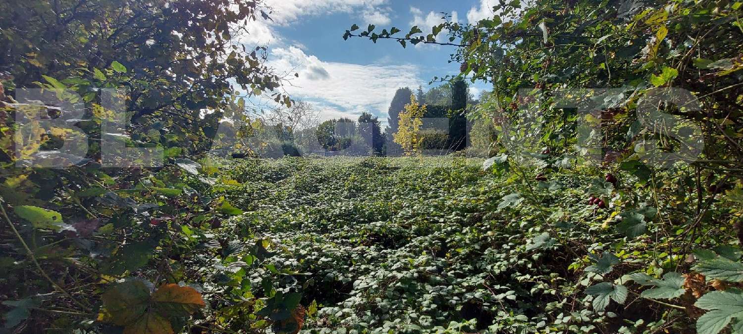 à vendre terrain Ham-les-Moines Ardennes 1