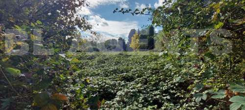 Ham-les-Moines Ardennes terrain foto 7165150