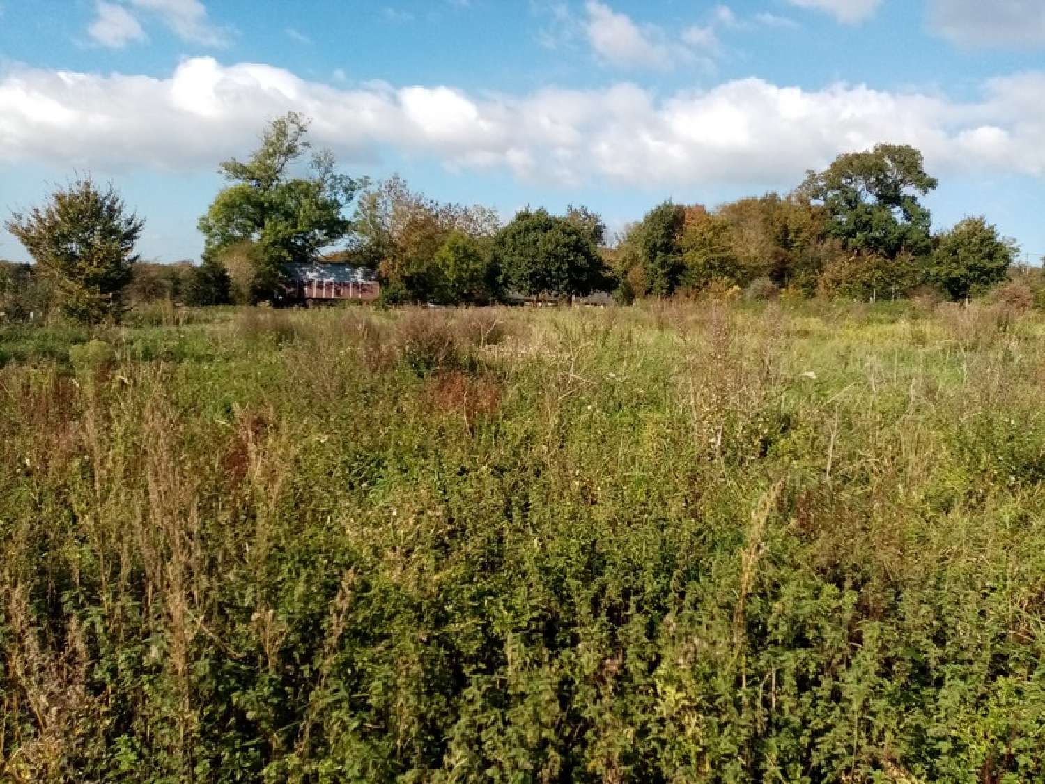 kaufen Grundstück Héricourt-en-Caux Seine-Maritime 1