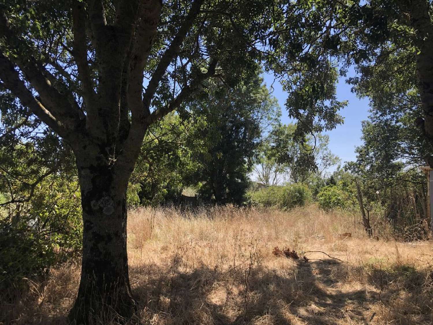 te koop terrein Jau-Dignac-et-Loirac Gironde 1