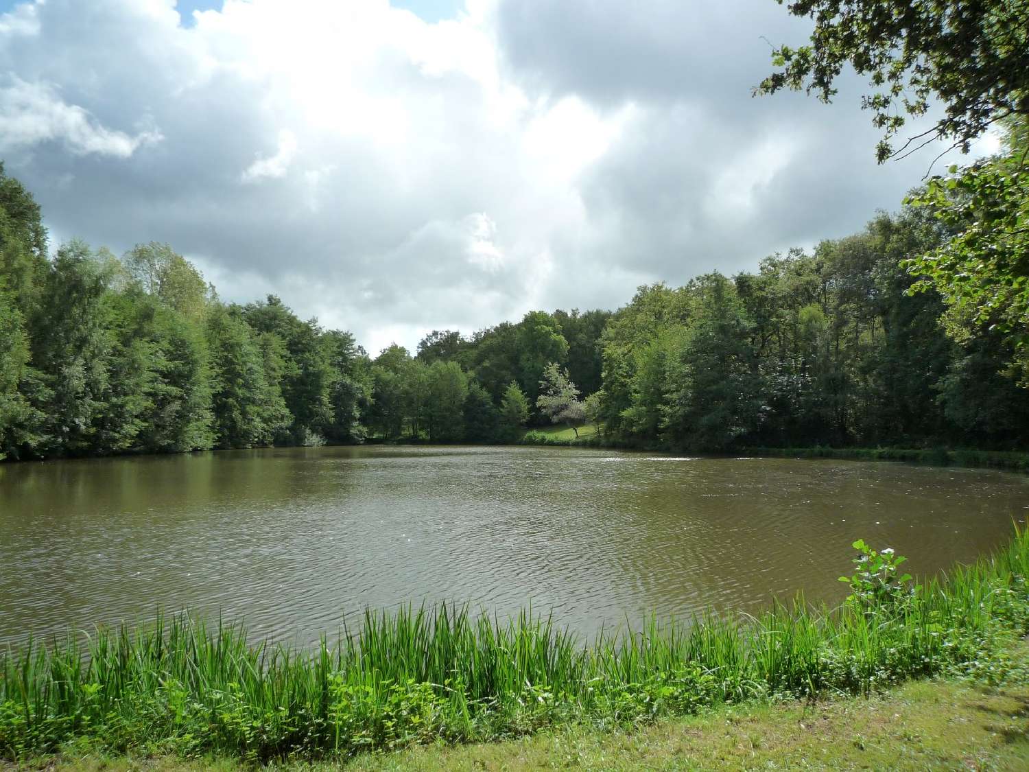 kaufen Grundstück Juillac Corrèze 2