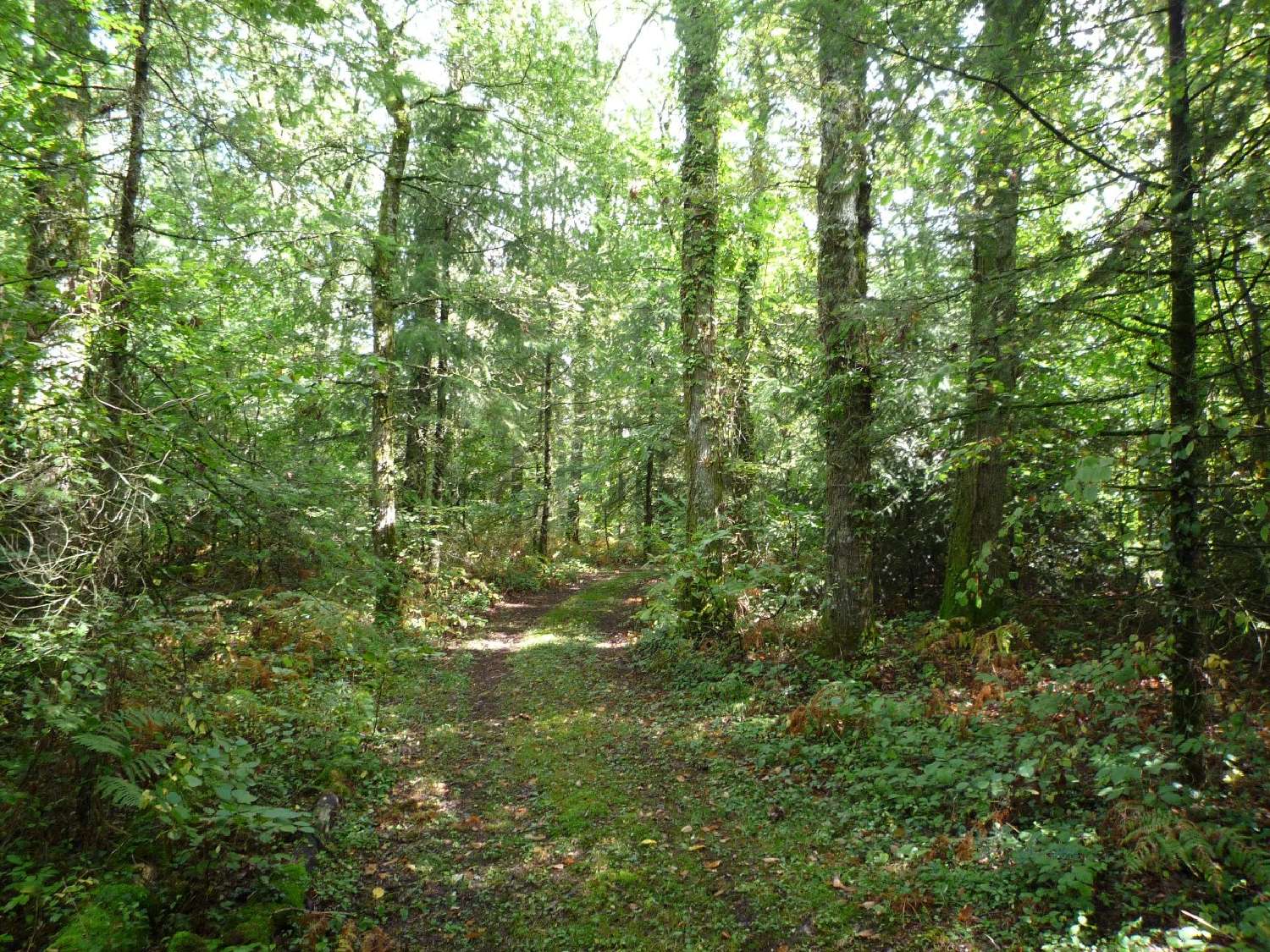 kaufen Grundstück Juillac Corrèze 4