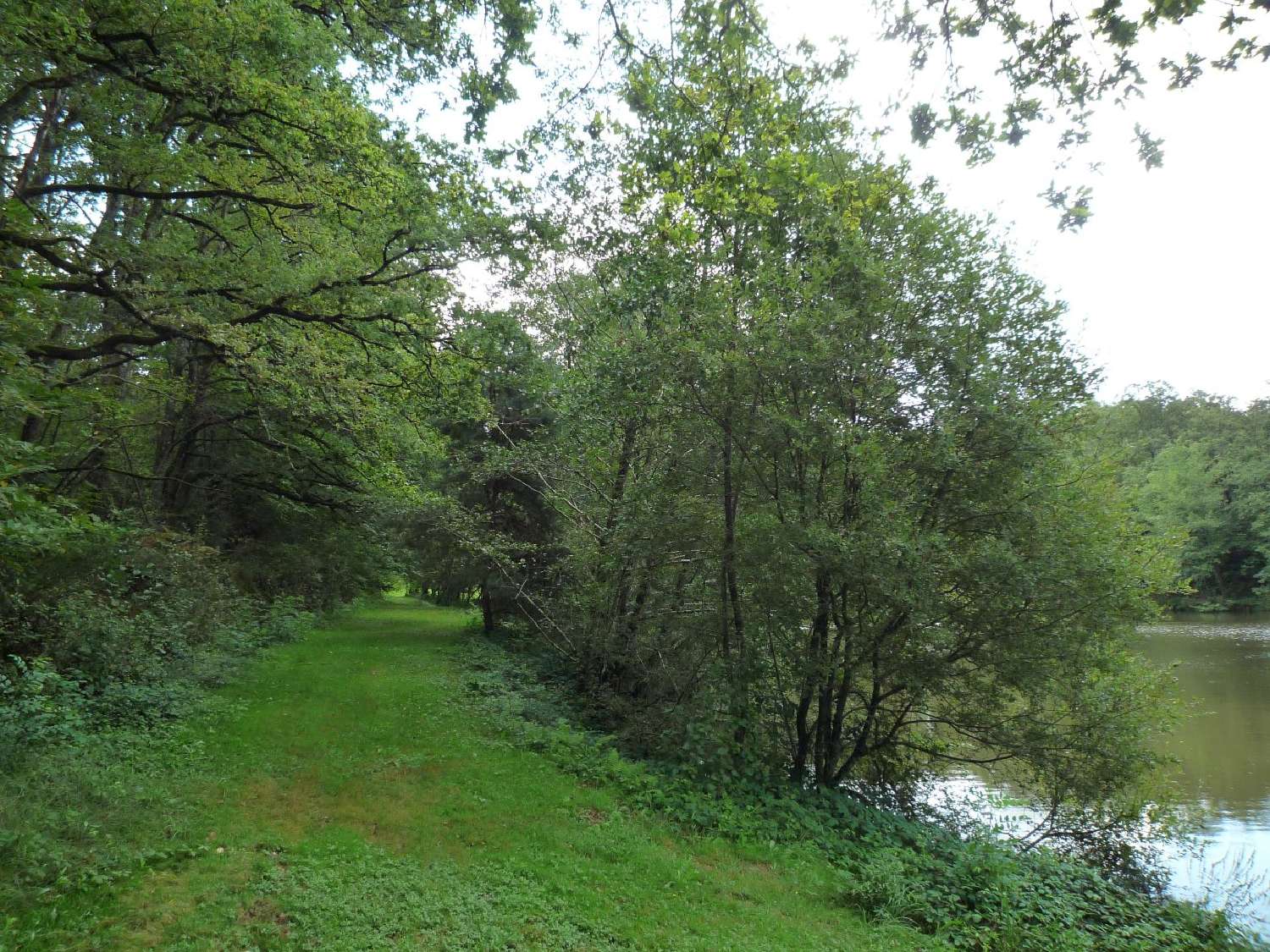 kaufen Grundstück Juillac Corrèze 6
