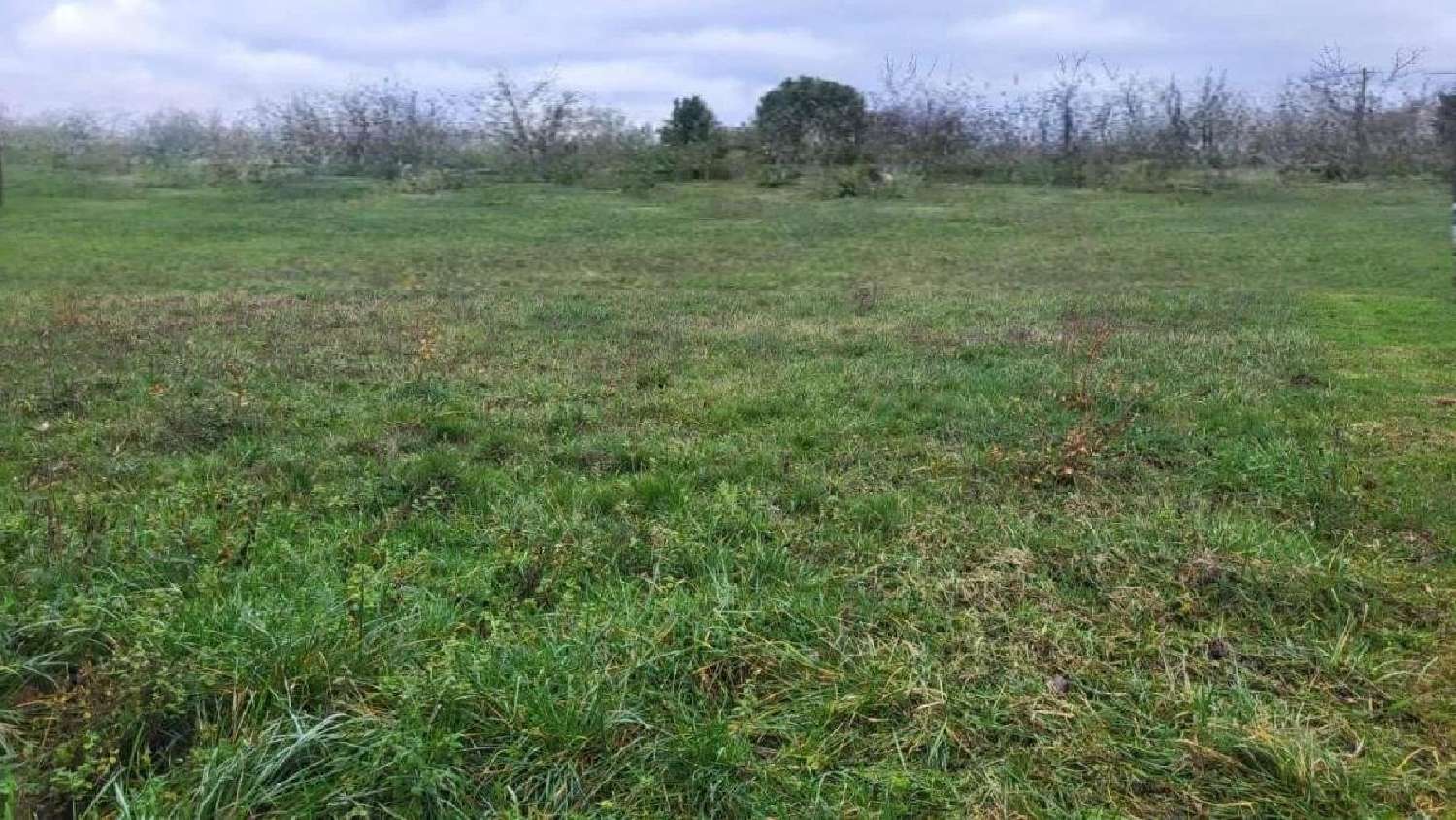 kaufen Grundstück L'Isle-en-Dodon Haute-Garonne 2
